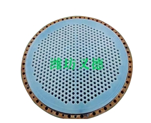 鋼襯四氟PFA管板